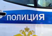 Пропавшую в Междуреченске в Кузбассе семилетнюю девочку нашли