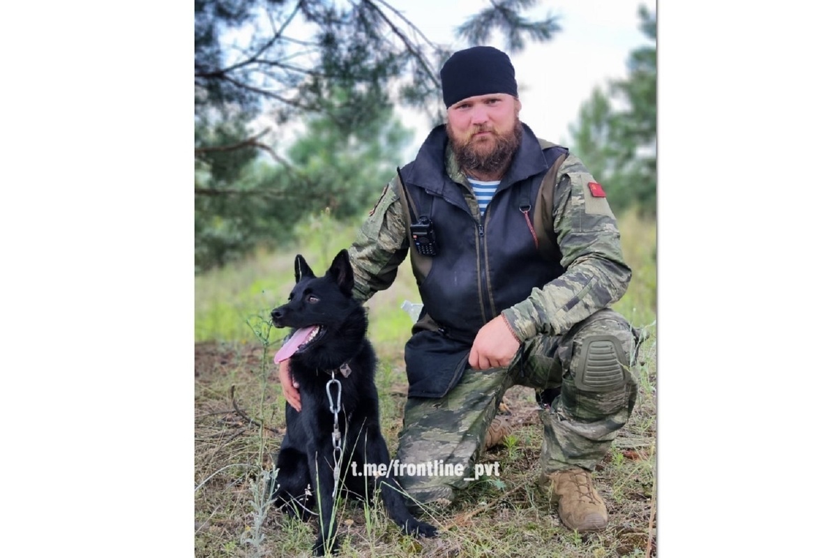 Костромской кинолог научил собаку обнаруживать беспилотники в зоне СВО