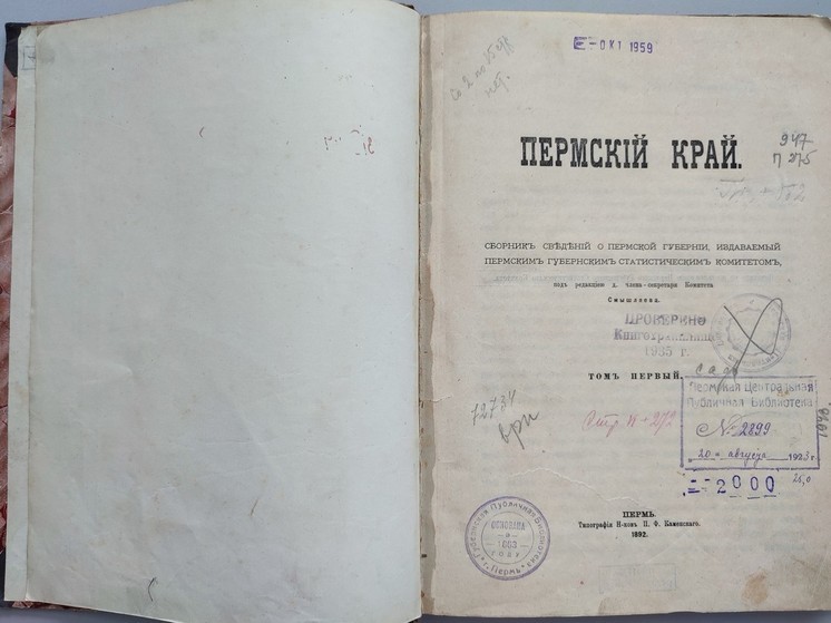 Более 1600 пермяков побывали в Летнем читальном зале «Горьковки»