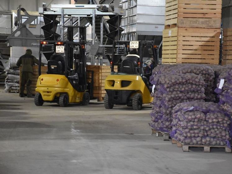 Экспорт сельхозпродукции из Костромской области с начала года составил 1,5 миллиона долларов