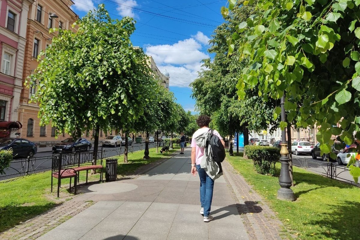 Синоптик Шувалов: В Петербурге август начнется теплой неделей - МК Санкт-Петербу