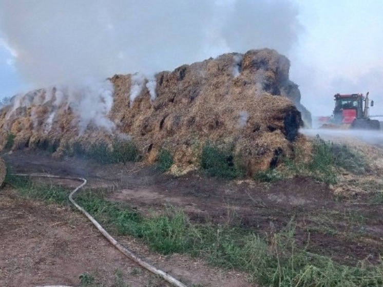 9 пожаров произошло в Удмуртии за сутки с 30 на 31 июля