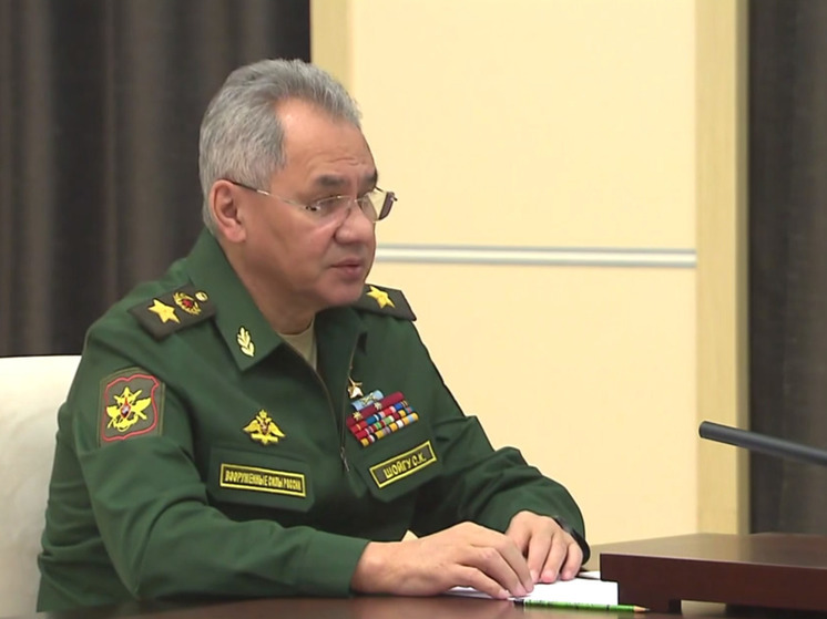 Шойгу: на Ореховском направлении сорвана масштабная попытка украинских войск прорвать российскую оборону