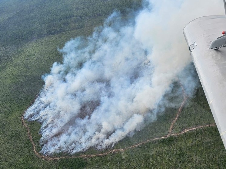 В Приангарье на 31 июля действуют два лесных пожара