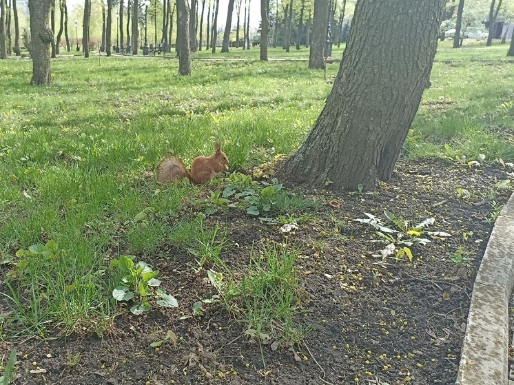 Экологические мероприятия в Донбассе профинансирует Правительство РФ