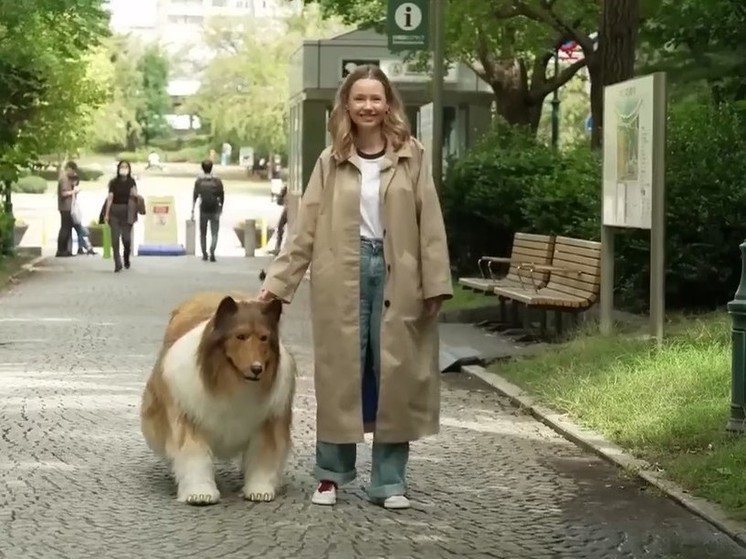 Появилось видео японца в костюме собаки за миллионы иен на прогулке