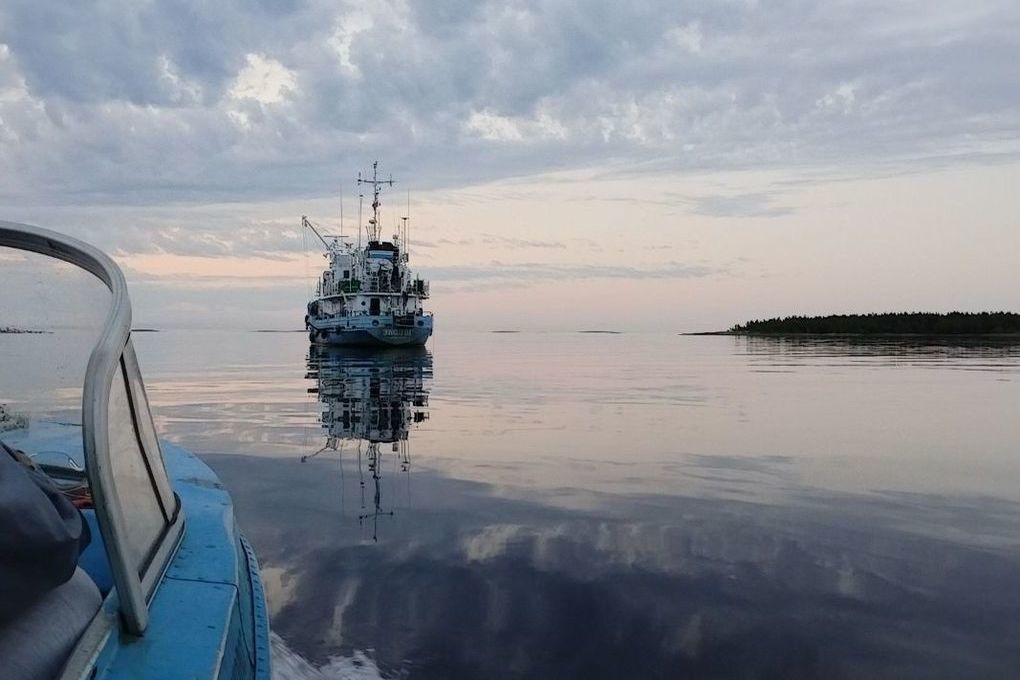 Следы нефти обнаружили ученые в реке на севере Карелии