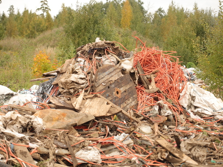 В Калининградской области хотят построить заводы по утилизации мусора
