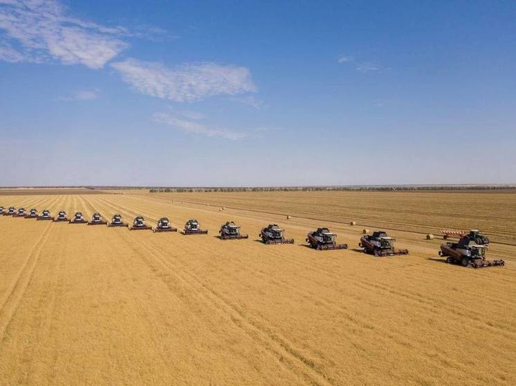 Глава региона отметил необходимость своевременной подготовки к урожаю 2024 года