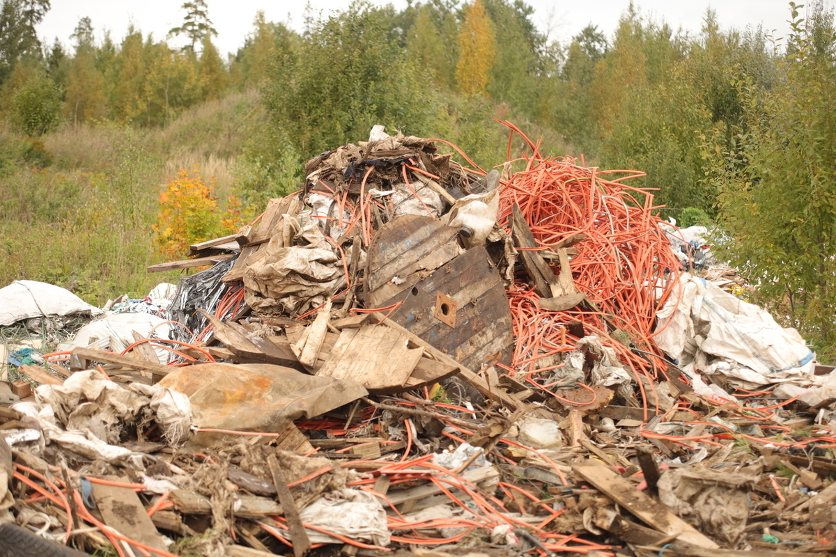 В Калининградской области хотят построить заводы по утилизации мусора