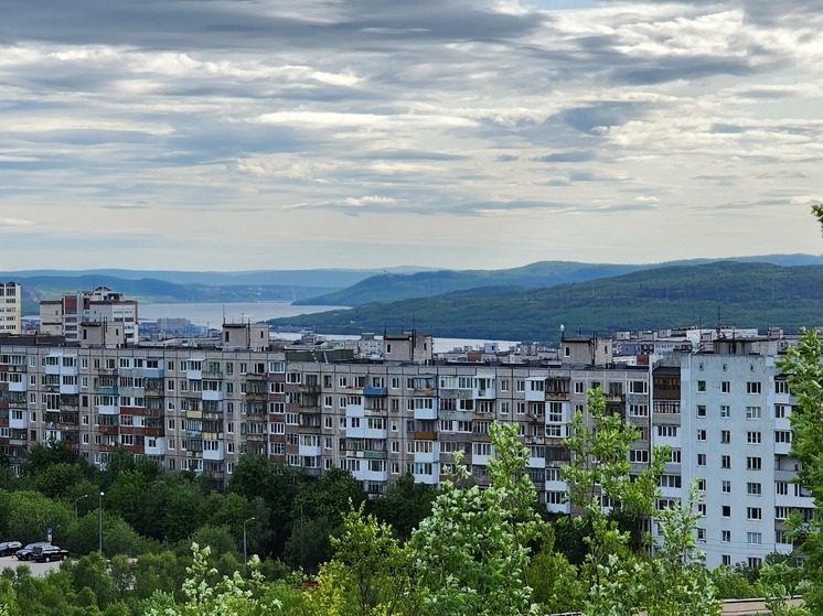 В Мурманской области 14 проектов победили в конкурсе «Губернаторский старт»