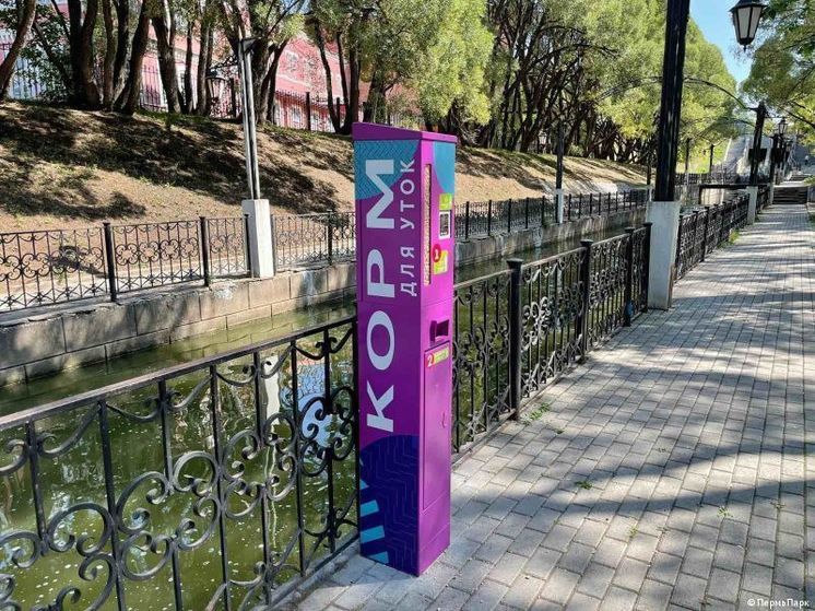 В пермском саду имени Свердлова установили аппарат с кормом для уток