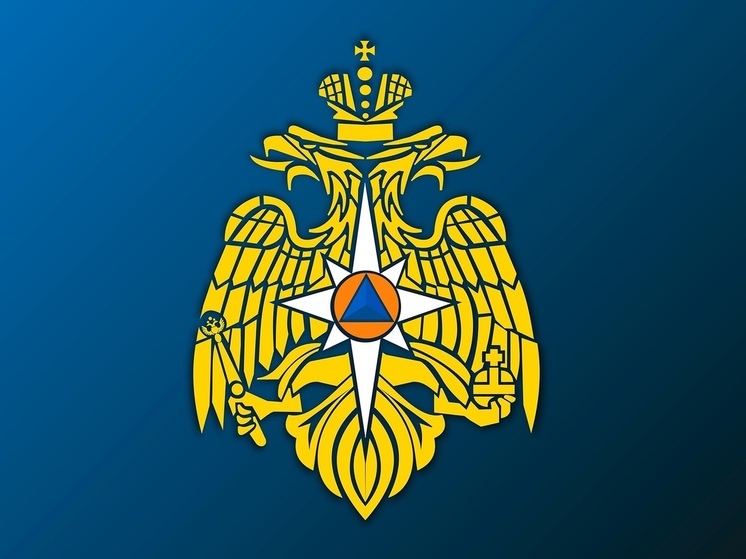 Недалеко от деревни в Тверской области нашли мины и снаряды