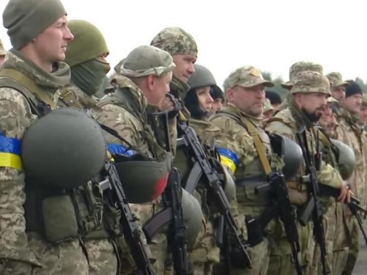 Украинское командование принуждает полицейских и членов теробороны сдавать биоматериалы