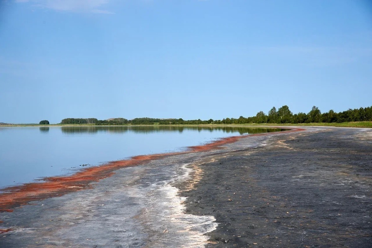 Лечебные озера области. Чистоозерное соленое озеро. Озеро лечебное Чистоозерный район. Озеро лечебное Новосибирская область Чистоозерный район. Солёное озеро в Новосибирской области.