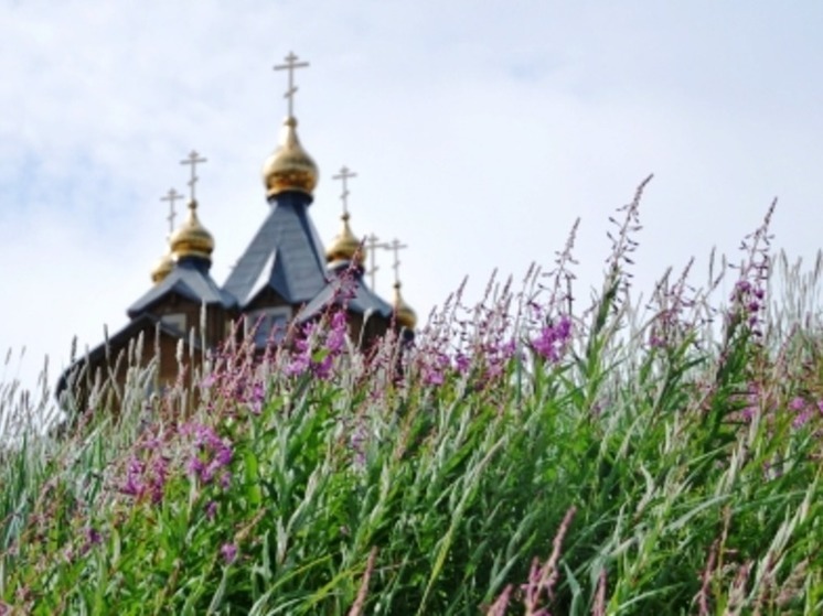 Западный ветер до 13 м/с ожидается в регионе во вторник