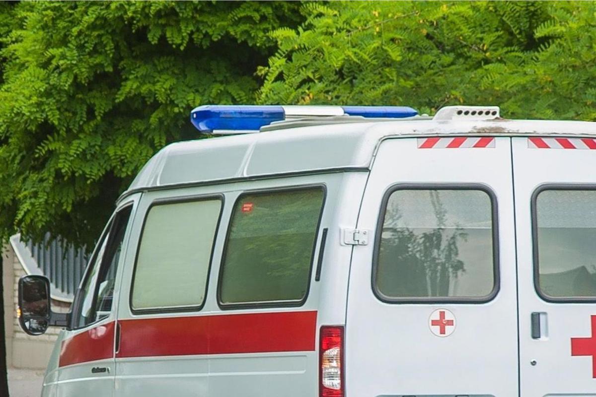8-летняя девочка угодила под колеса иномарки в брянских Клинцах