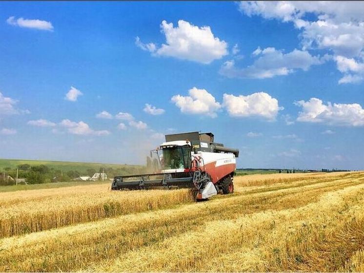 В Орловской области намолотили почти 180 тысяч тонн зерна