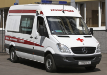 9-летний мальчик получил серьезную травму в подмосковной деревне Муриково (Шаховской городской округ)