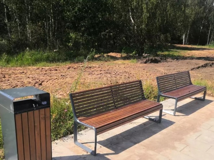 В новгородском парке «Березовая роща» начался второй этап благоустройства
