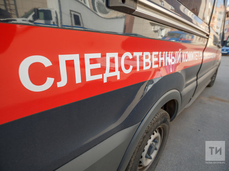 Бастрыкин потребовал доклад о проверке по факту похищения ребенка в Татарстане