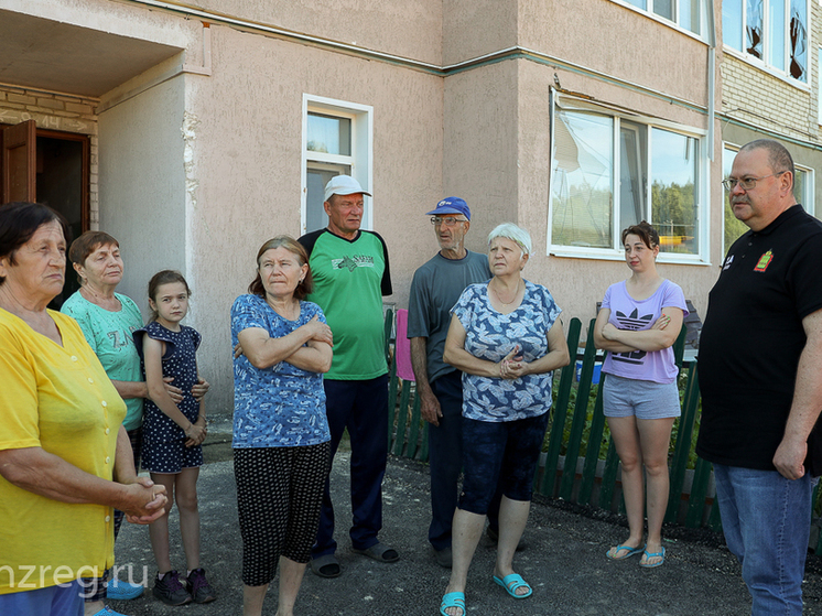 В Пензенской области последствия урагана устранять за счет резервного фонда