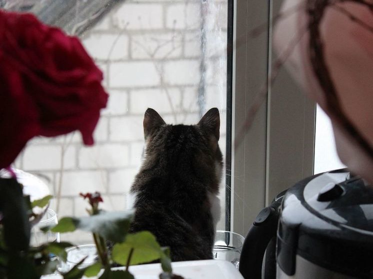 В Курской области 3 августа ожидается жара до +33 градусов
