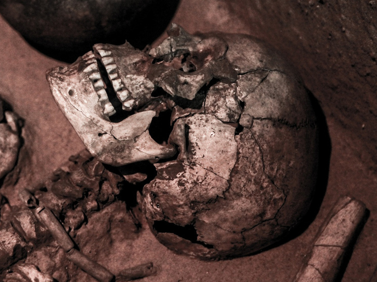 Ученые по обломкам черепа восстановили древнейшее в мире человеческое лицо