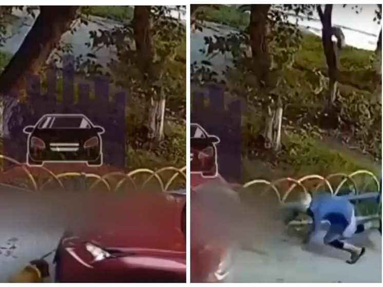В Новосибирске автоледи сбила собаку пенсионерки и скрылась