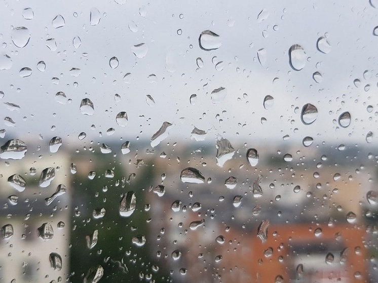 Дожди зальют Карелию в августе