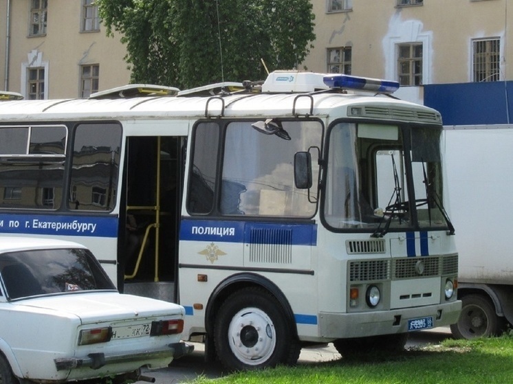 Девушку в маске задержали на Дне ВДВ в Екатеринбурге