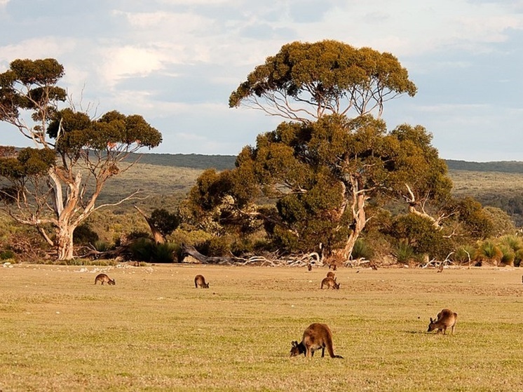 Ученые рассказали о самой древней легенде на Земле