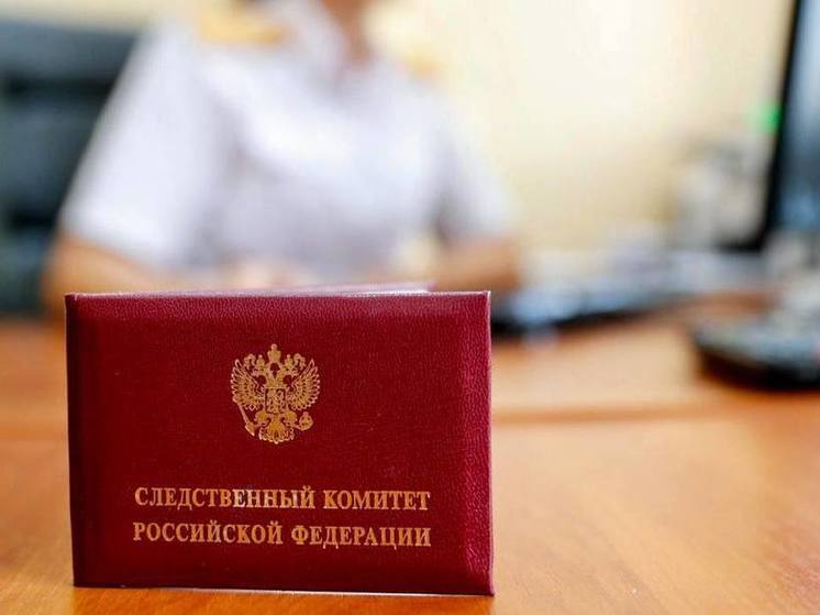 В Якутии руководитель двух организаций не выдавала работникам зарплату