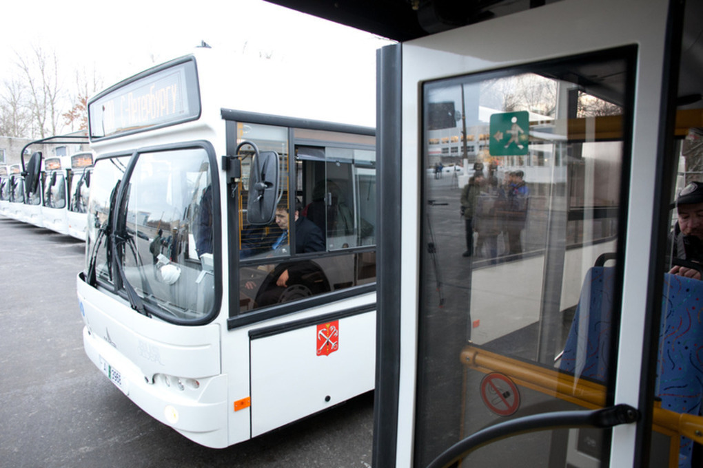 Дебоширу из рейсового автобуса «Калининград — Гусев» вынесли приговор