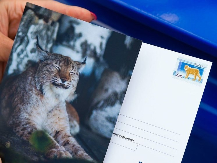 В приюте Карена Даллакяна презентовали почтовый штемпель с изображением рыси Марыси и краснокнижной утки савки