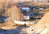 В маленькой деревеньке Аркасы, которая находится недалеко от Новочебоксарска, живность в своем хозяйстве держит каждый, кто живет здесь круглый год