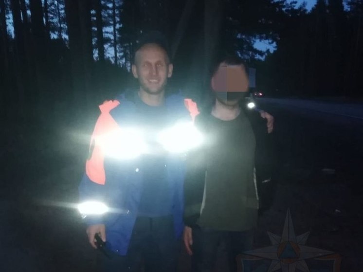 Спасатели вывели из леса около поселка Кутузовское заблудившегося мужчину