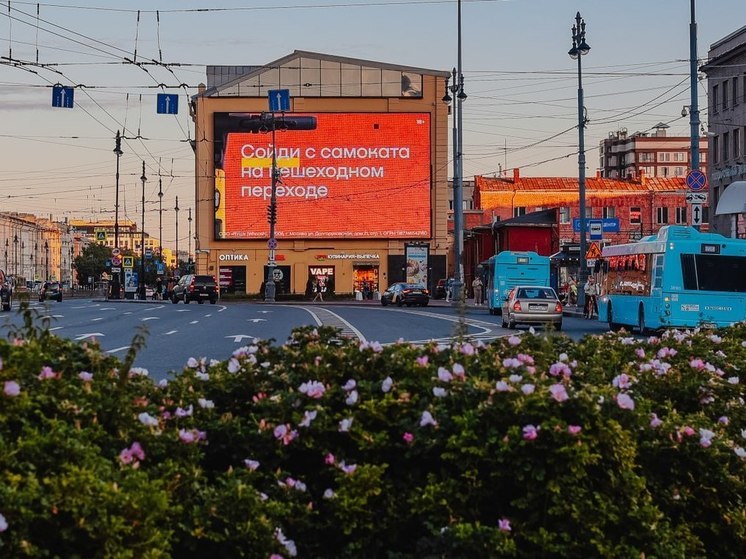 Петербуржцы стали чаще замечать рекламу правил езды на самокатах: зачем это нужно и как Комтранс поддерживает инициативу