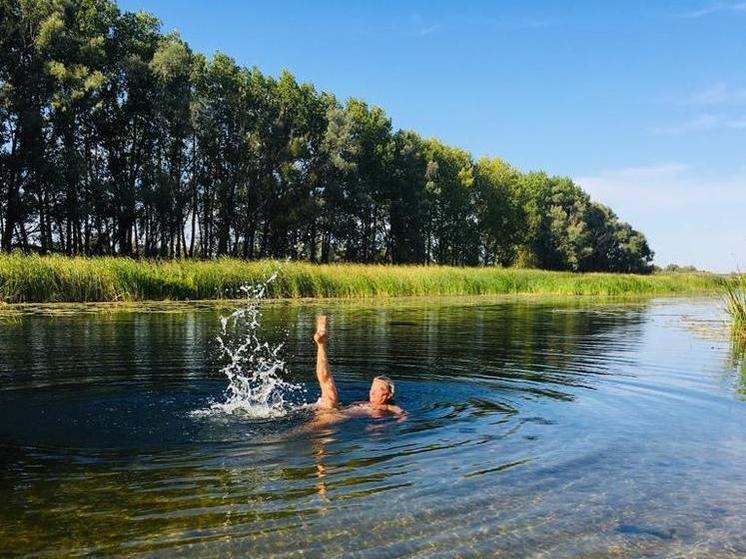 В четверг в Воронежской области синоптики пообещали жару до 33 градусов