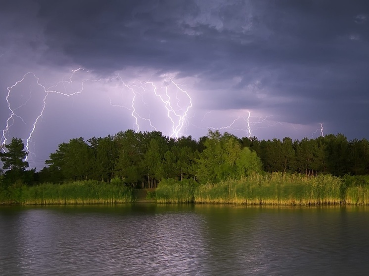 В Костромской области прогнозируются гроза, дождь и усиление ветра до 15 м/с