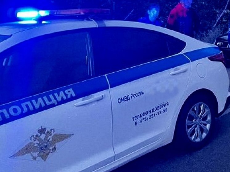 Под Воронежем на отказавшегося остановить машину по требованию Госавтоинспектора мужчину завели уголовное дело