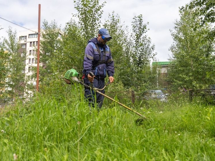 В Ханты-Мансийске продолжают скашивать слишком высокую траву
