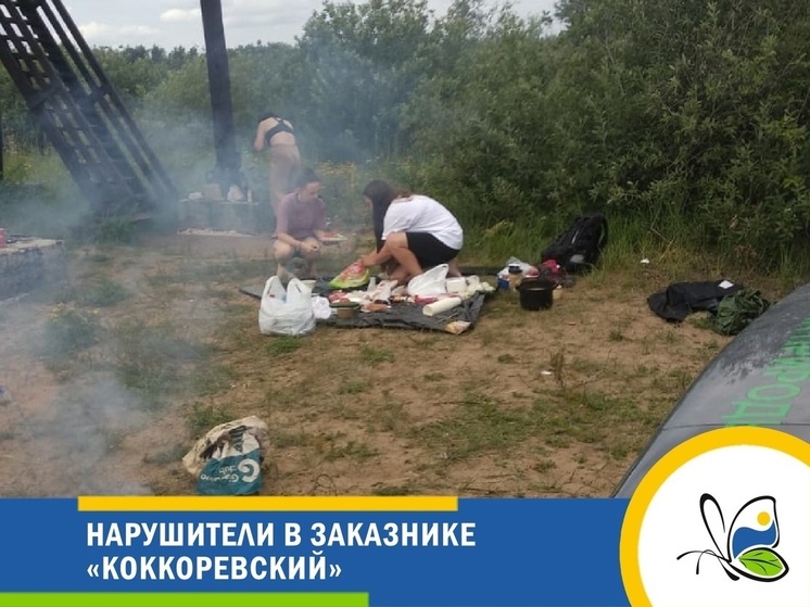 В заказнике Коккоревский поймали отдыхающих, которые хотели развести костер