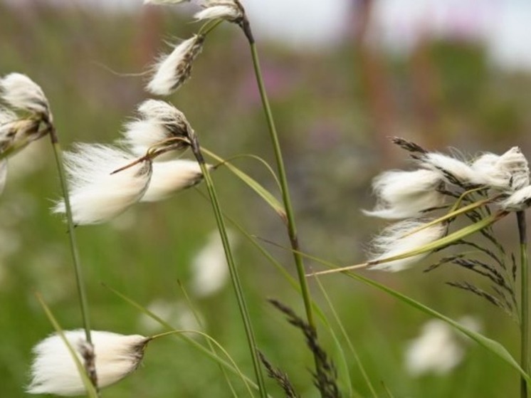 До +22 потеплеет в континентальной части региона в четверг