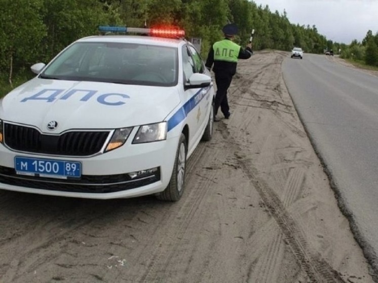 В Салехарде пьяная водительница устроила погром в машине ГИБДД: пришлось пристегнуть наручниками