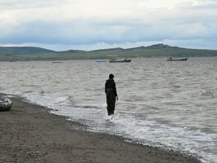 Временный запрет на добычу лососей ввели на Чукотке