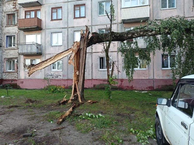 Последствия урагана устраняются в Фокинском районе Брянска