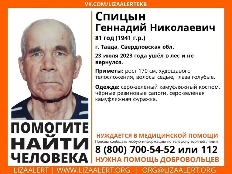 Объявлен сбор добровольцев на поиски пенсионера, пропавшего возле Тавды