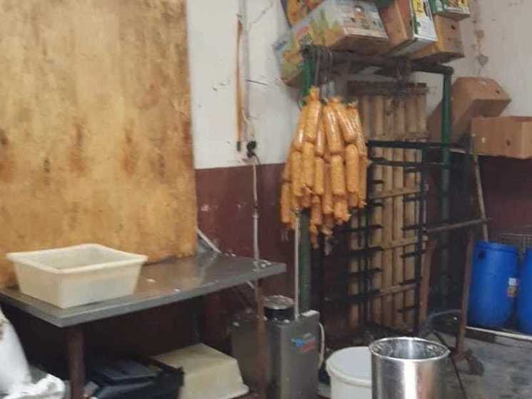 В Тамбове выявили причину появления крыс — подпольный колбасный цех