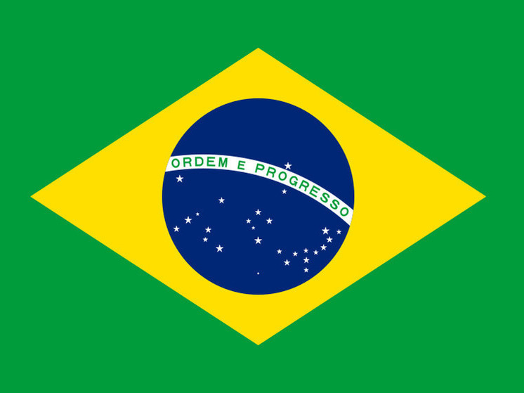 Бразилия отказалась от поездки на саммит по Украине